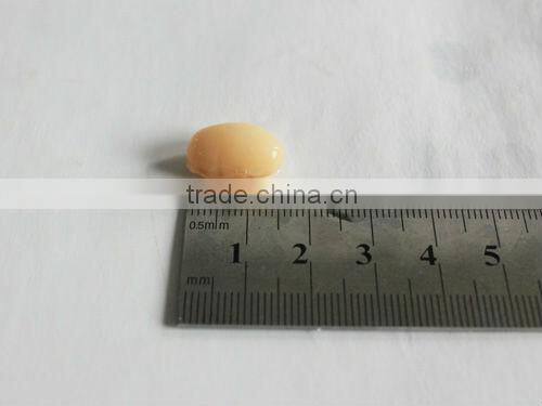 Canned Vegetables White Kidney Beans in Tins