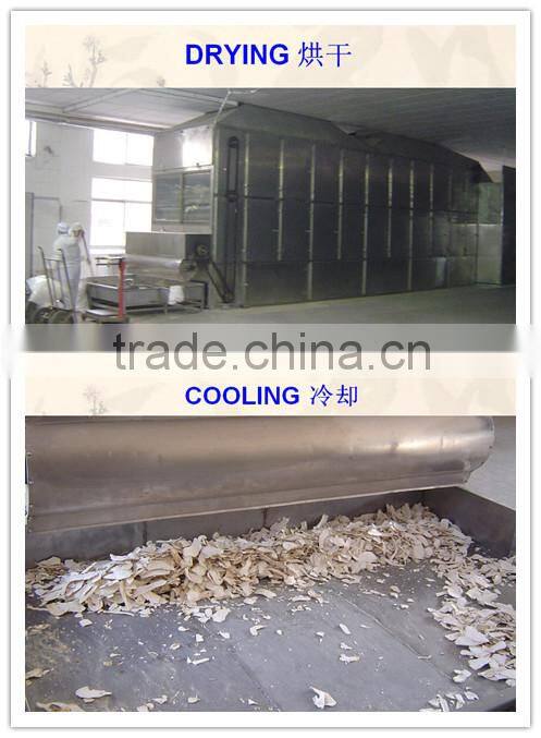New crops white dried horseradish powder