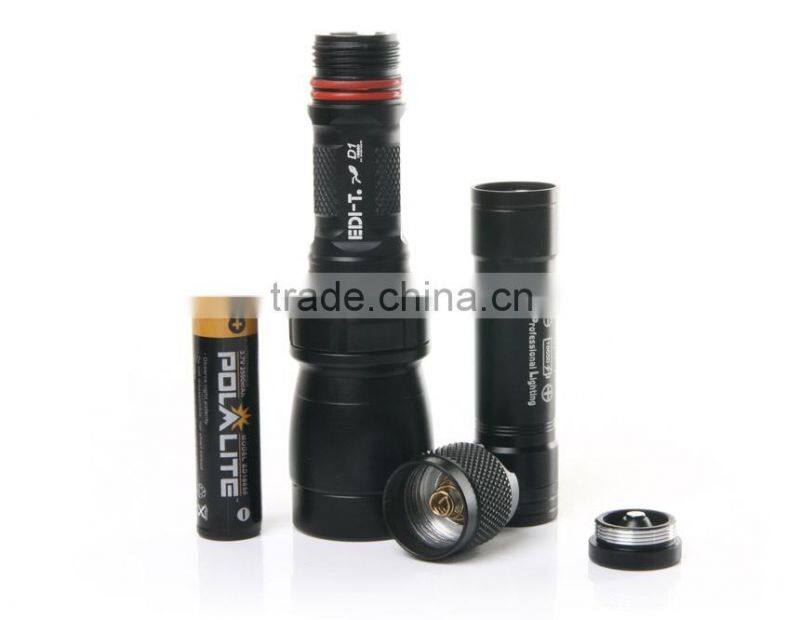 EDI-T D1 250-Lumens 5-Mode Q5 LED Waterproof Diving Flashlight
