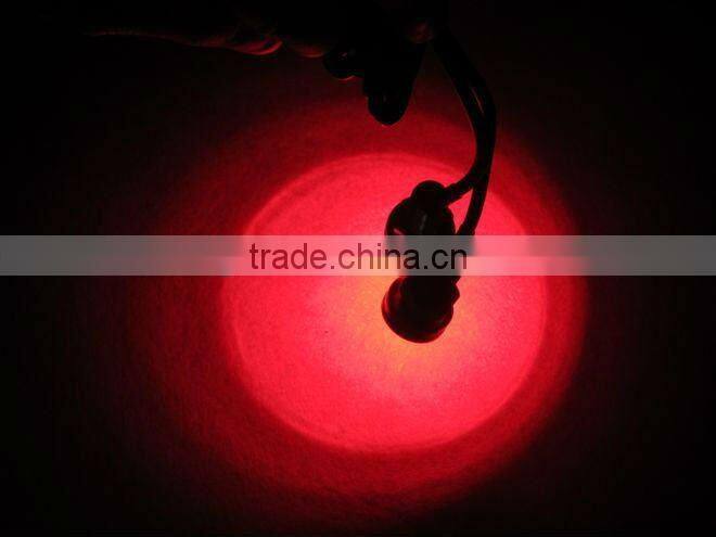 2013 12V Best Selling New led DRL light Auto Eagle Eyes