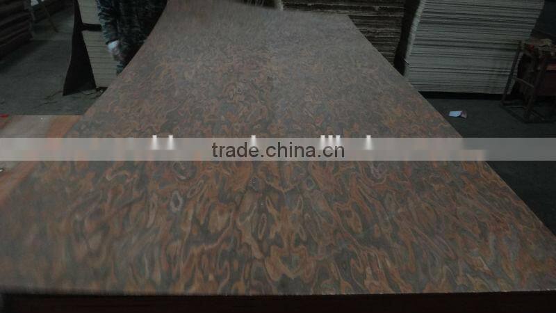 Black Burl MDF from Linyi