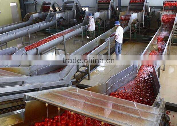 2014 Crop Low Price Tomato Paste 70-4500g Brix 28-30% Hot Sale