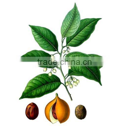Express alibaba sales nutmeg mace best selling products in nigeria