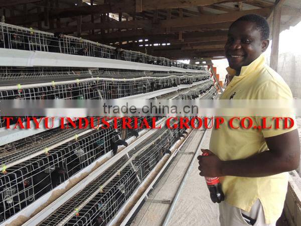TAIYU Chicken Cages for Kenya Hen Farm (Local agent, whole year stock, visit customers every year)