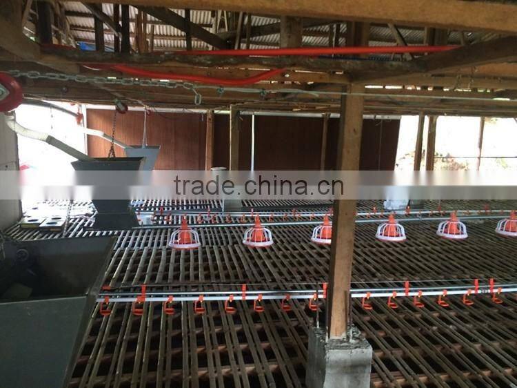 automatic poultry equipment feeder for chicken