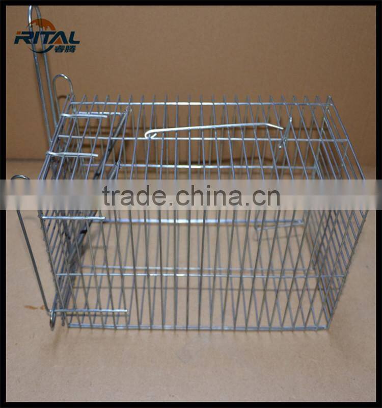Factory supply new model Eco-friendly Mouse Squirrel Trap