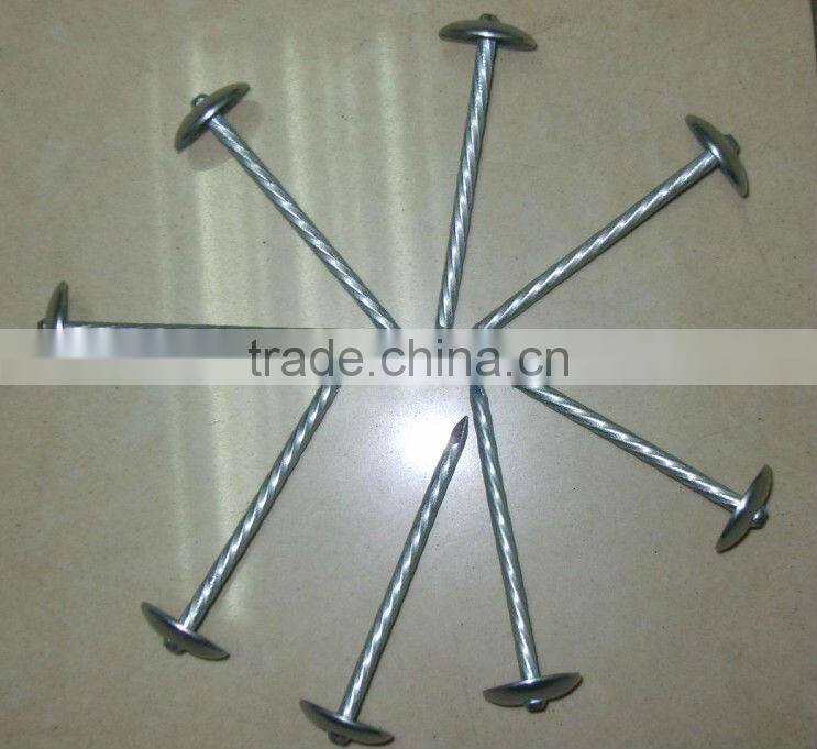 Cheap Raw Material Wire Nails for Construction for sale
