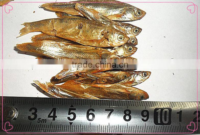 Microwave Dried Fish for Pet (turtle;lizard);Factory Price Dried fish