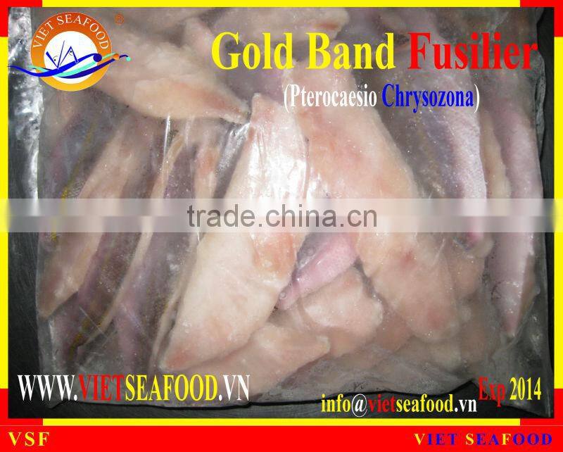 FROZEN GOLD BAND FUSILIER FILLET