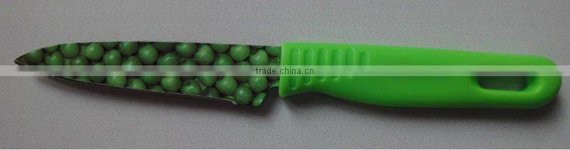 non-stick fruit knife with sheath