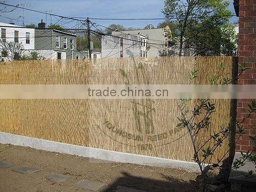 reed fence