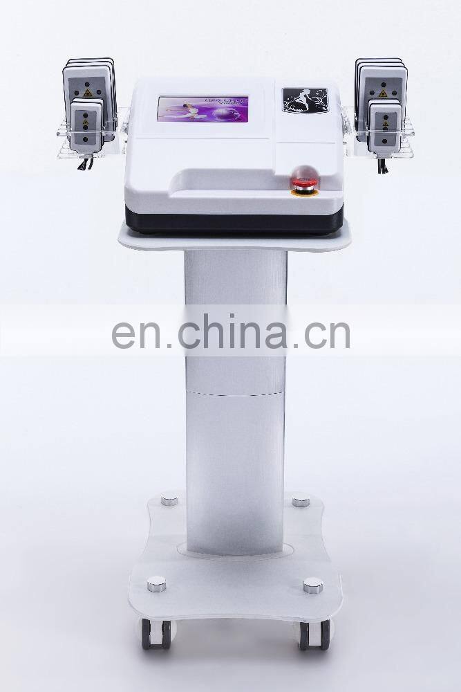 Newest Portable Diode Lipo Laser Slimming Beauty Machine For Anti-aging