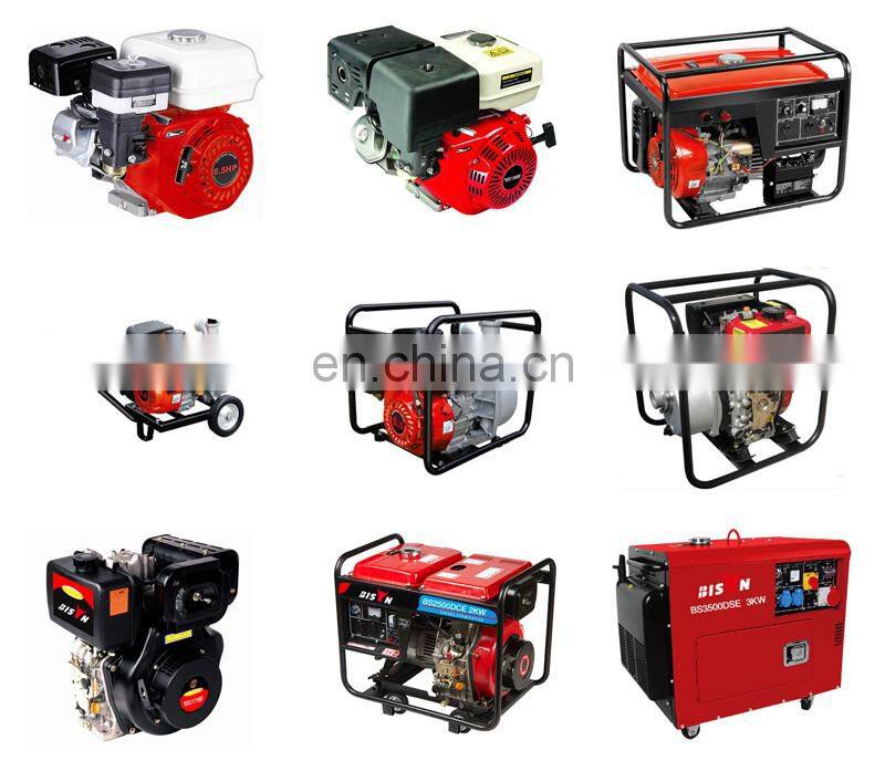 BISON China Taizhou BS3000E 60hz Frequency Chinese Portable Generators Left Crank Case 2.5kw 220v Gasoline Generator