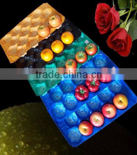 China Manufacturer Plastic Vacuum Forming Fresh Meat Fruit Disposable Plastic Food Container