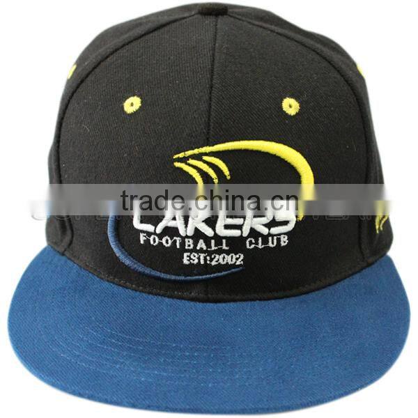 2014 new fashion preferred 3D embroidery snapback hat