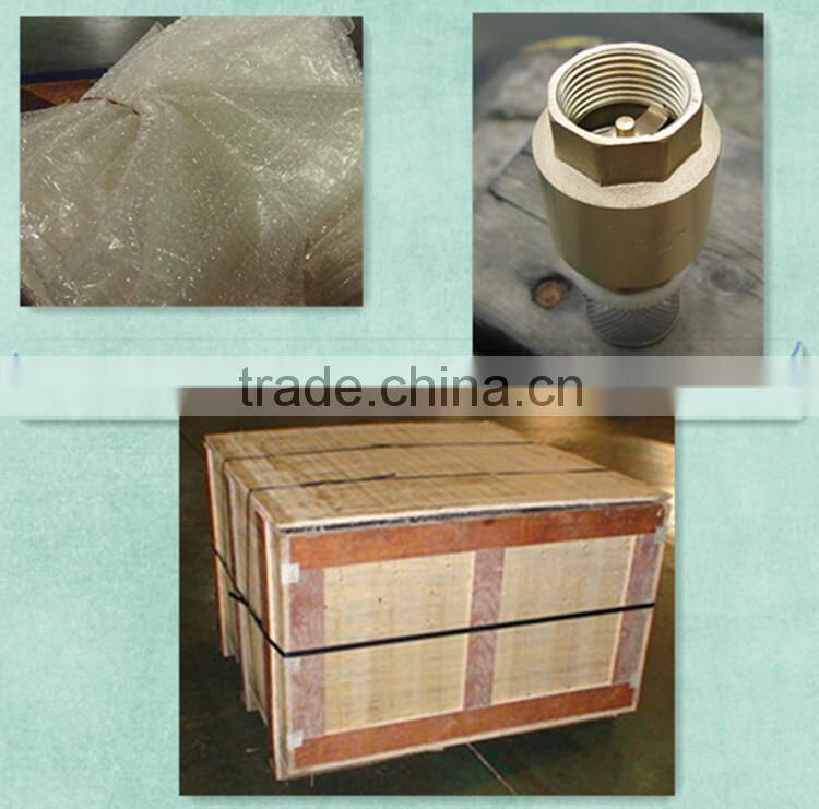 CV-DS008 ISO 228 brass check valve with filter