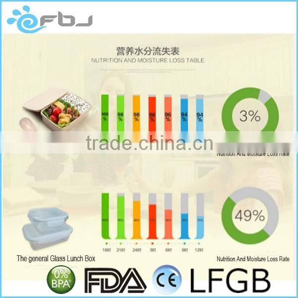 ~ China Manufacture Plastic Bento Lunch Box