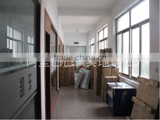 11.5g Customization Poker Chip