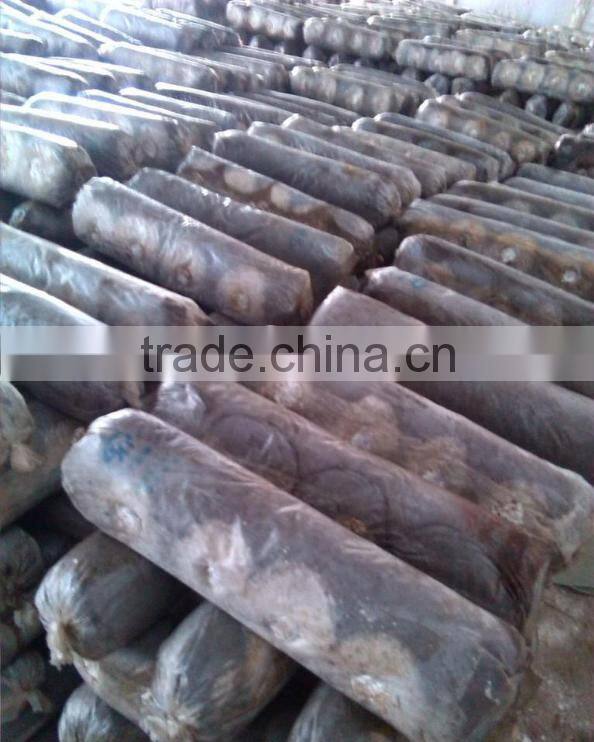 Hot sale Large Capacity Edible Mushroom Oyster lentinula edodes Growing Bag Filling Machine