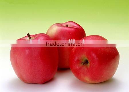 Discount Price Automatic persimmon Peeling Machine, Kiwi Fruit Skinner, Apple Peeler