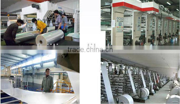 small hanging hole clear opp plastic bag