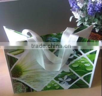 New and Fashion promotional PP Woven Gift Bag