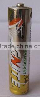 OEM alkaline battery(dry cell battery)
