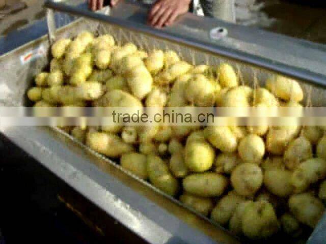 Stainless steel fruit and vegetable washing and peeling machine for sale