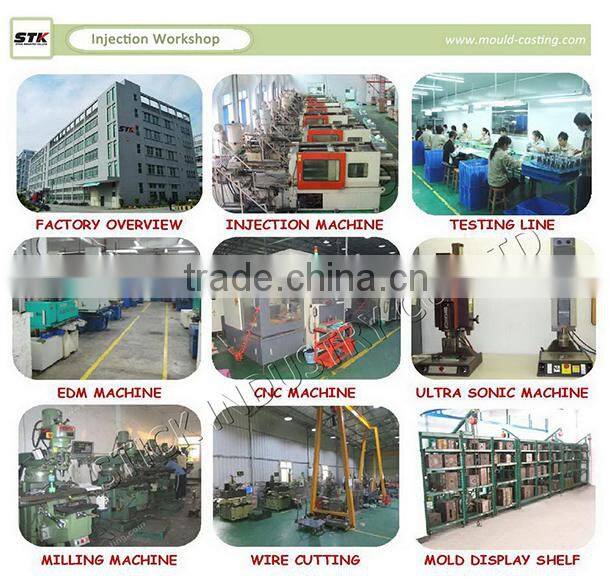 Plastic Mould Injection Molding Case