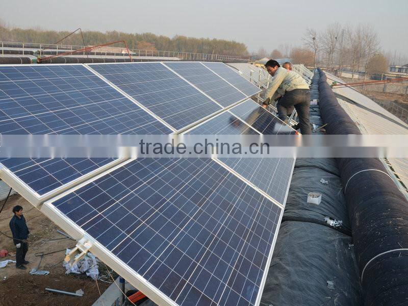 China Solar Panel 50W 100W 150W mono poly panel solar 200W Solar Module 250W 260W 300W 320W Paneles solares 5KW 1MW Solar PV