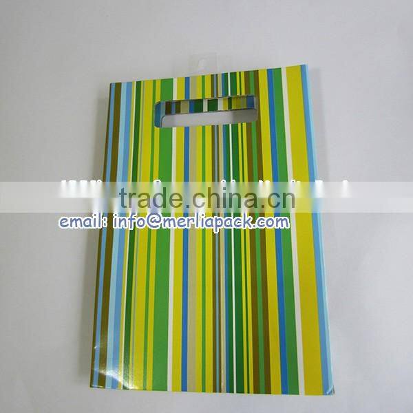 Luxury Paper Gift Bags Party Wedding Birthday with Euro Hook Slot Hang Tabs Bag