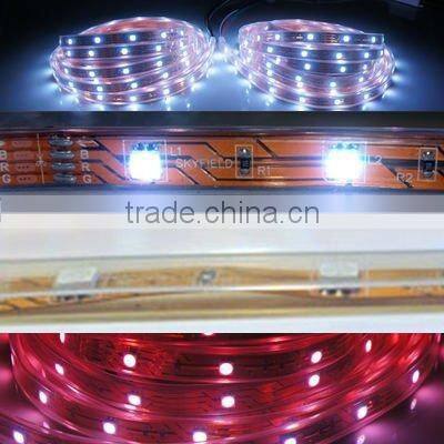 5050 PURE WHITE led strip lights waterproof IP67 30LEDs/m 150LEDs/roll flexible strip light DC12V decoration led strip lighting