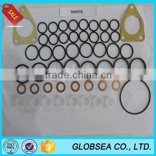 2016 Hot sale diesel injection VE pump repair kit 800858