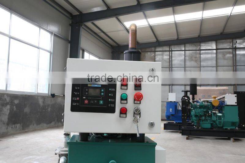 new products 4-stroke natural gas engine SP4100DT 20KW biogas generator