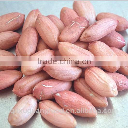 Chinese new crop blanched peanut kernel wholesale