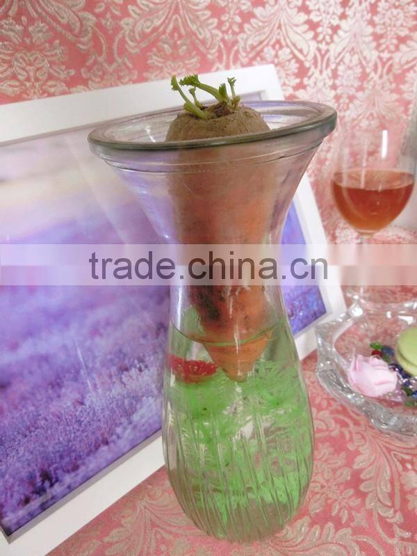 216mm Height Hot Sale Glass Material Green Water Plant Empty Decorative Bottle/Jar