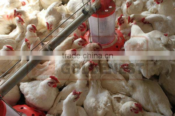 metering cylinder pan feeder of broiler breeder equiment/rooster feeding line