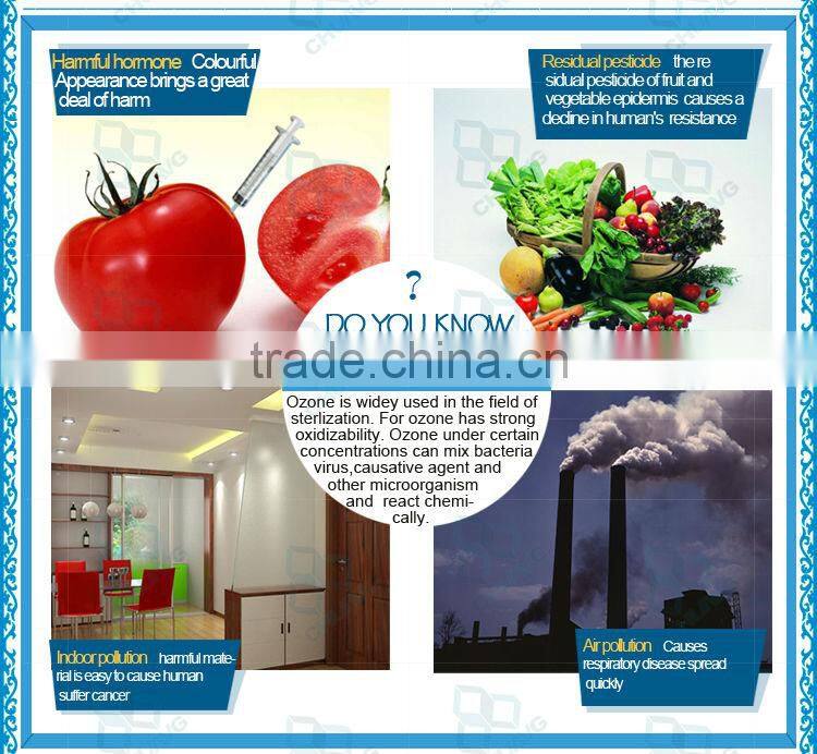 hot selling ceramic mulit-function ozone generator
