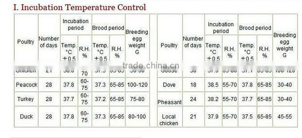fully automatic mini egg incubator for eggs price in China WQ-196