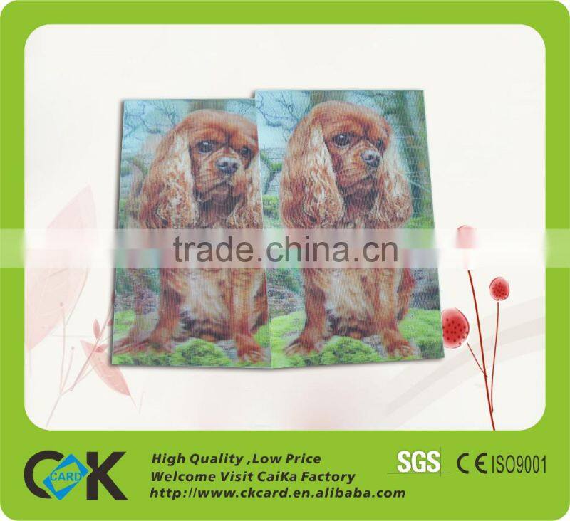 Copetitive Price !Printing irregulare shape big 3d pvc cards