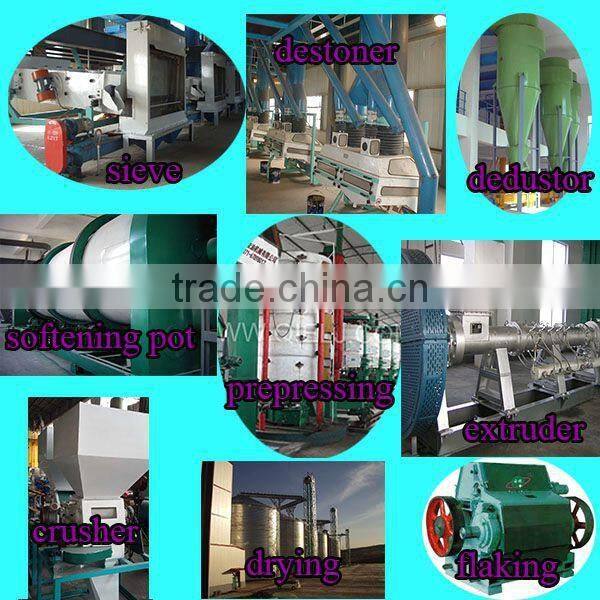 Cheap and good quality sesame squeezing equipment 30TPD