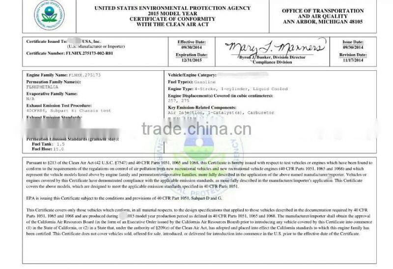 300cc Snow Scooter / Snow Mobile / Snow Motorcycle S300