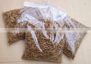 Industrial tunnel type microwave mealworm dryer & sterilizer
