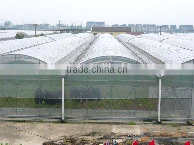 Arched plastic greenhouses for sale