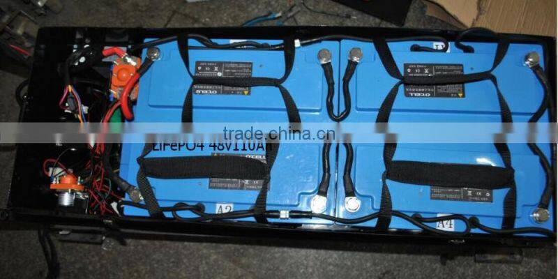 Integral type 48V LiFePO4 batteries 110Ah with BMS