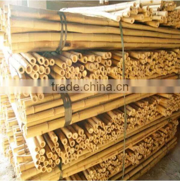 High-quality Wholesale tonkin bamboo Poles for plant
