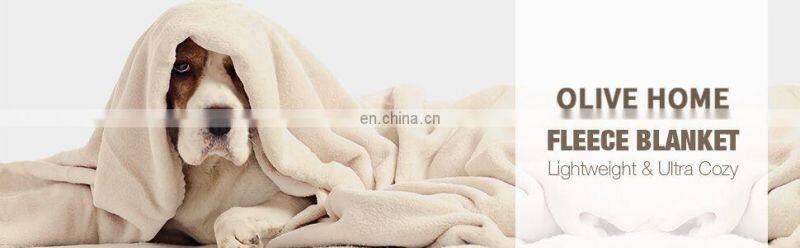 All Season Flannel Fleece Plush Throw Velvet White Blanket for Bed Sofa Car