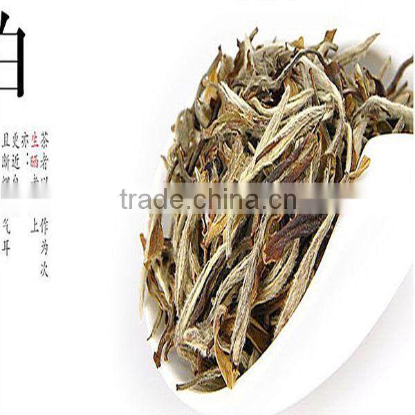 White peony white peony king