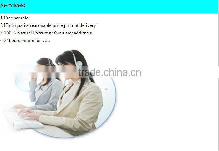 Brazil panax ginseng extract powder with high quality