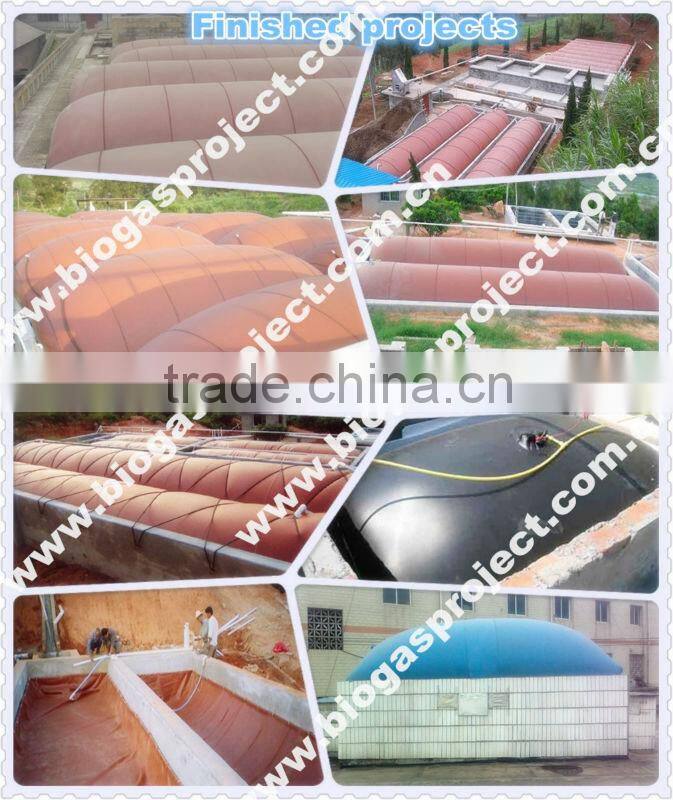 industrial biogas digester
